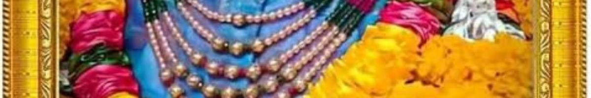 Vikash Sain