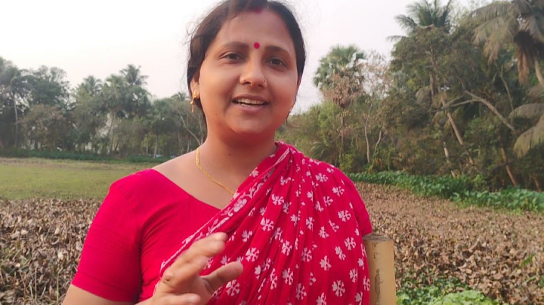 ⁣Early morning Cow Milling in village #villagelife#familycowmilking#cowmilking