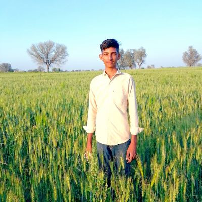 coll_music coll_music