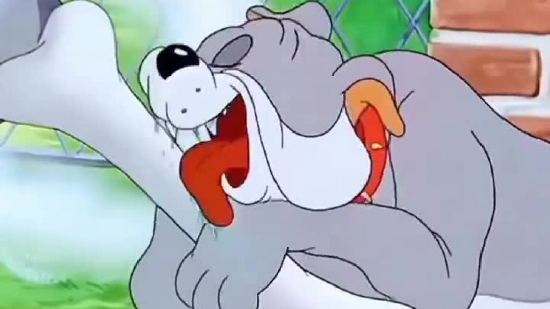⁣Tom and Jerry