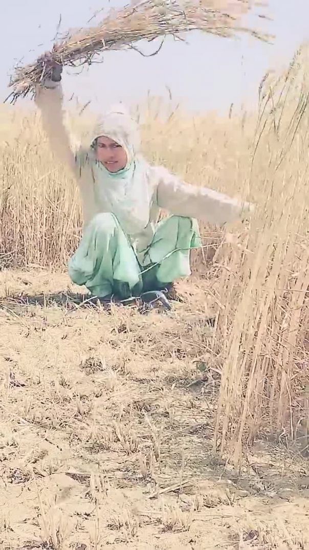 Dil Laga Liya 💖🍀 #trending #viralvideo