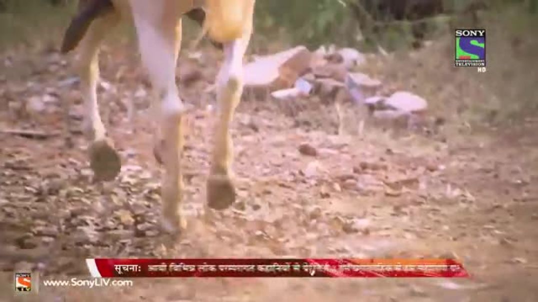 Bharat_Ka_Veer_Putra_Maharana_Pratap_-_महाराणा_प्रताप_-_Episode_320_-_26th_November_2014