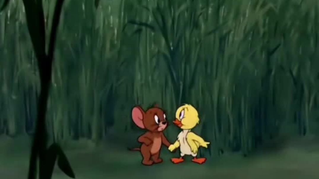 ⁣Tom and Jerry and fight
