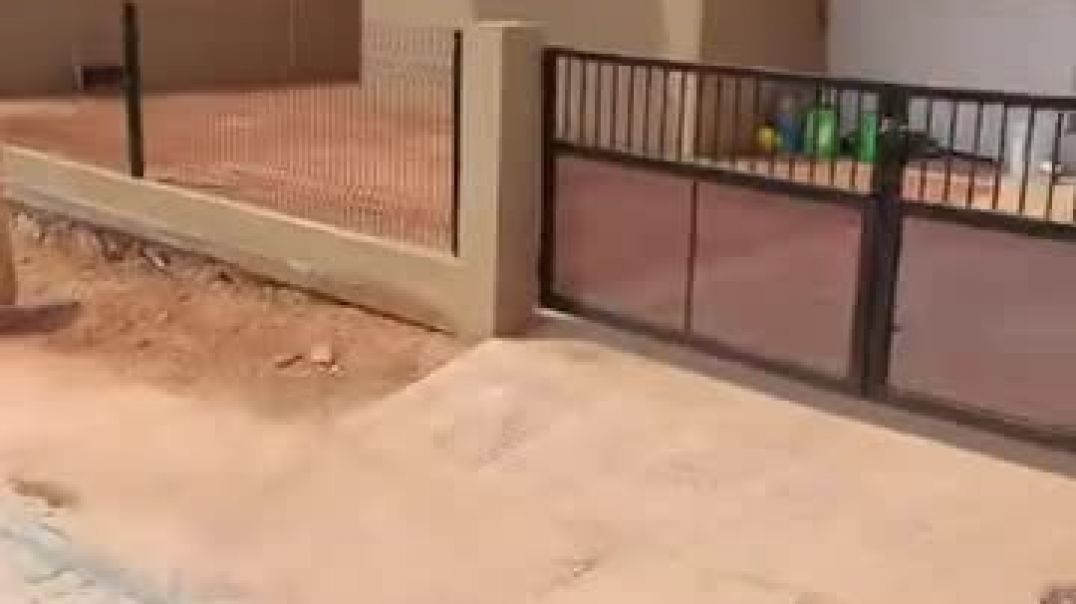 ⁣VID-20260428-WA0032
