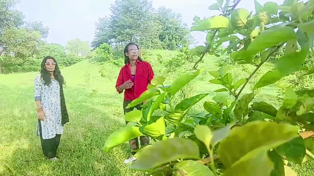 ⁣Raja_ko_rani_sai(720p)
