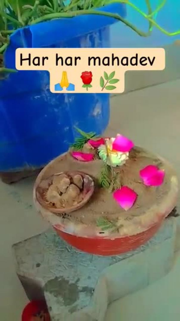 ⁣Har_Har_mahadev_🙏🌹🌿#om_namah_shivay_new_reel_🙂🌹🌿(360p)