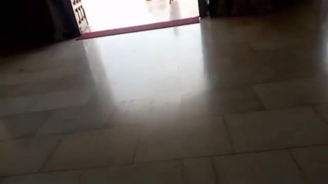 ⁣मथुरा जय गुरुदेव मंदिर की फूल जानकारी और