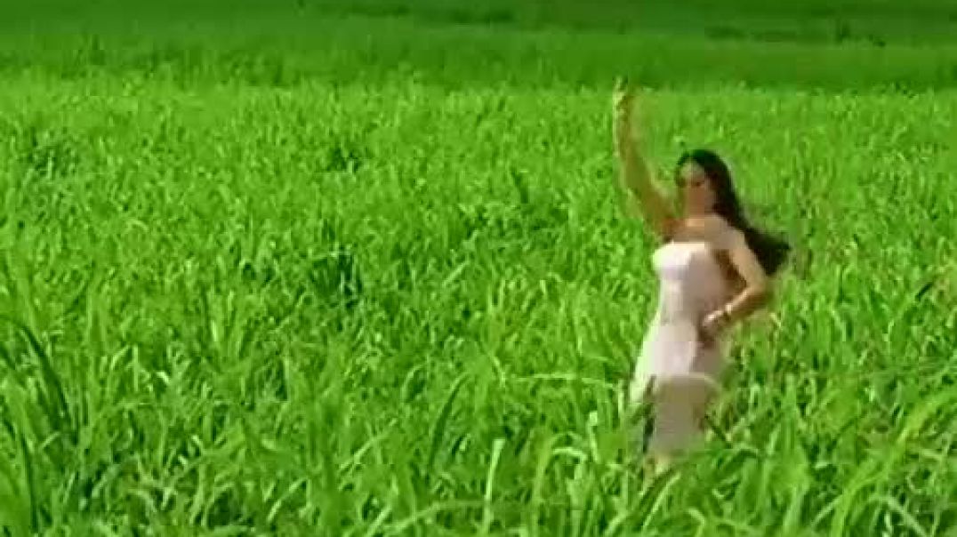 ⁣Best solid hit song #@55💕💕subscribe my channel 🌻🌻🌻