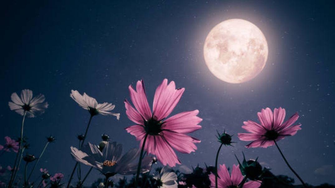 ⁣Relaxing Sleep Music_Insomnia _ Stress Relief _ Deep Music To Sleep_  Meditation  _ JaiMala music