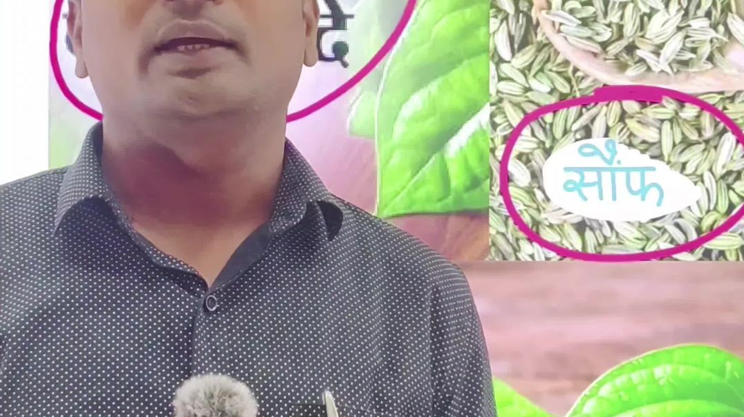 ⁣क्या आप भी खाने के बाद पान खाते हैं ? ये जरूर देखें 🚫✅ #shorts