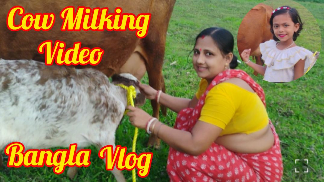 ⁣Desi cow milk collection process in family life style #familyvlog#desicowmilk#villagevlog