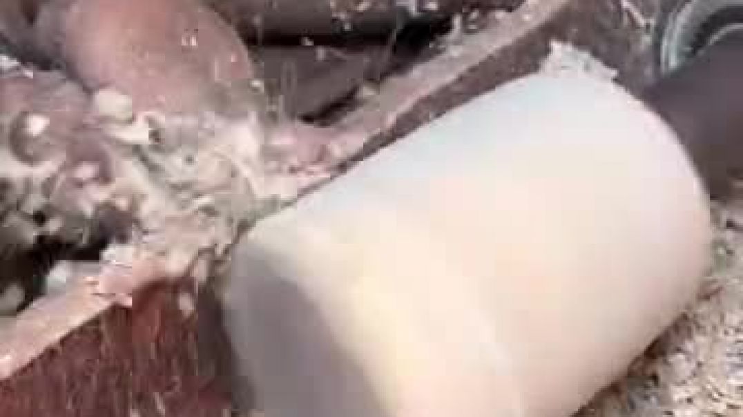 ⁣VID-20251001-WA0006