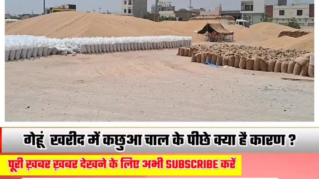 ⁣रावतसर मंडी में गेहूं का अंबार, किसान परेशान!