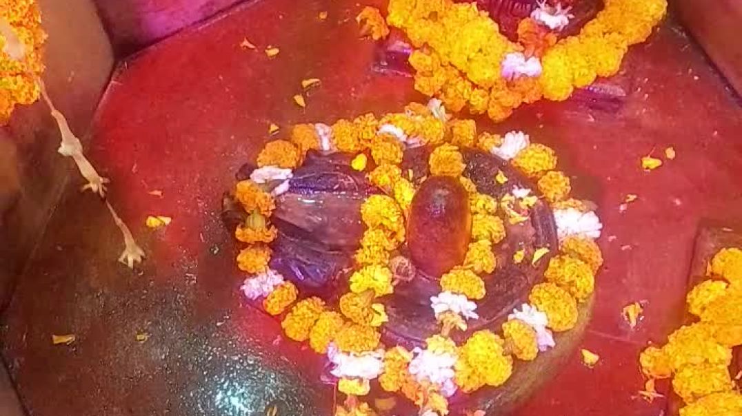 ⁣हम गए हमने देखी महा आरती में हुए भगवान कृष्ण जी के साक्षात दर्शन #suman_844