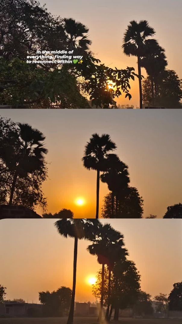 VID-20260330-WA0006