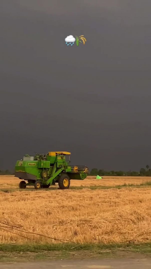 🌧️🌾