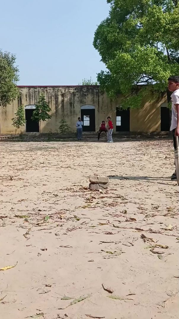 Cricket time 🏏😎✅
