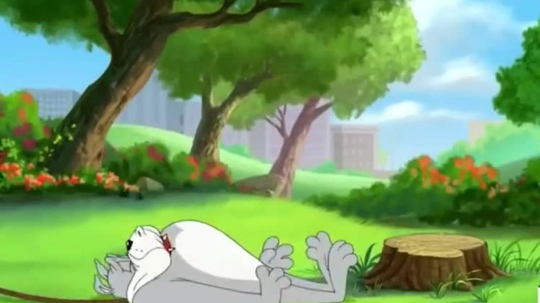 ⁣Tom and Jerry Show