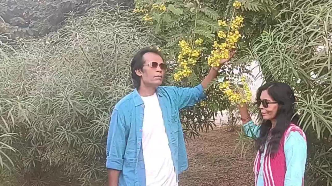 ⁣Phool_Kali_Chand_sitare(720p)