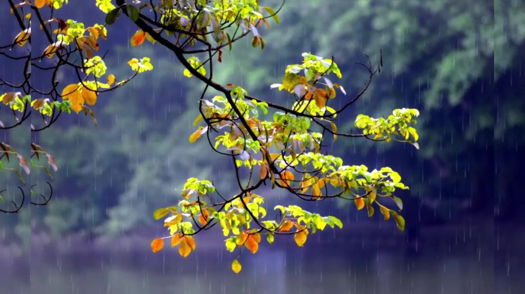 Peaceful_ Raining _Relaxation_Music _Important_In_Our_Life