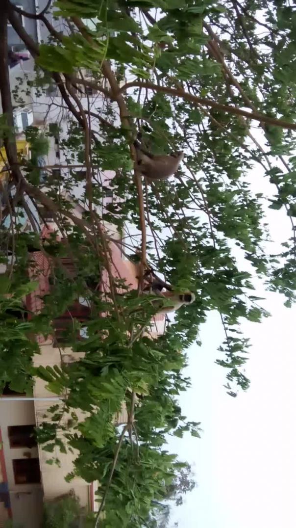 Save trees