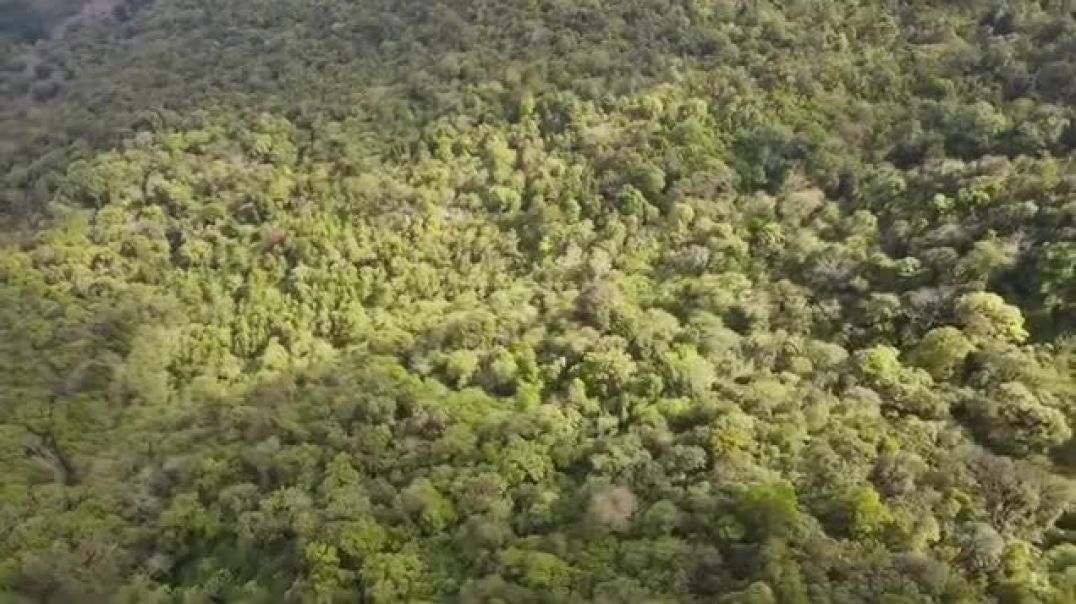 ⁣Top 10 most Haunted forests on earth