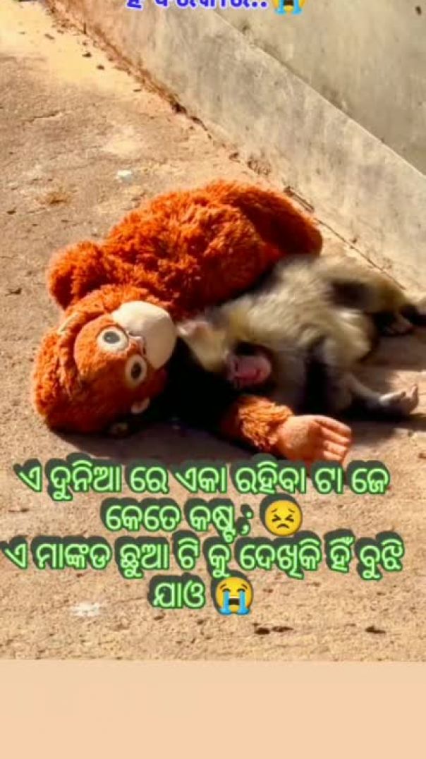 VID-20260330-WA0000