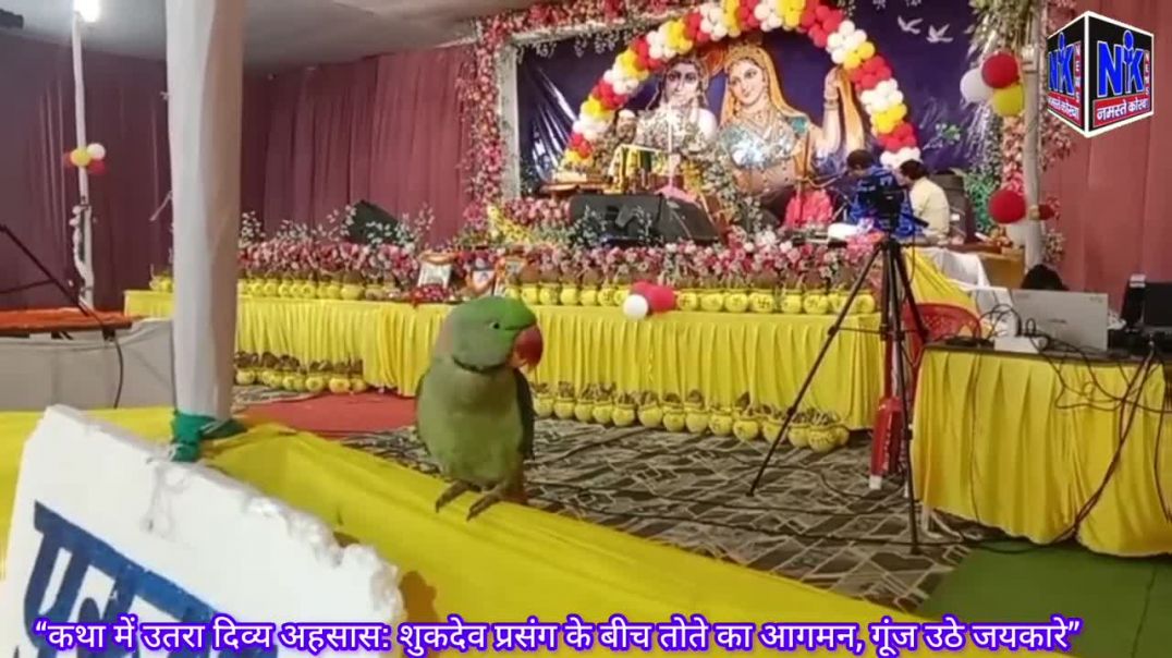 ⁣“कथा में उतरा दिव्य अहसास_ शुकदेव प्रसंग के बीच तोते का आगमन, गूंज उठे जयकारे”