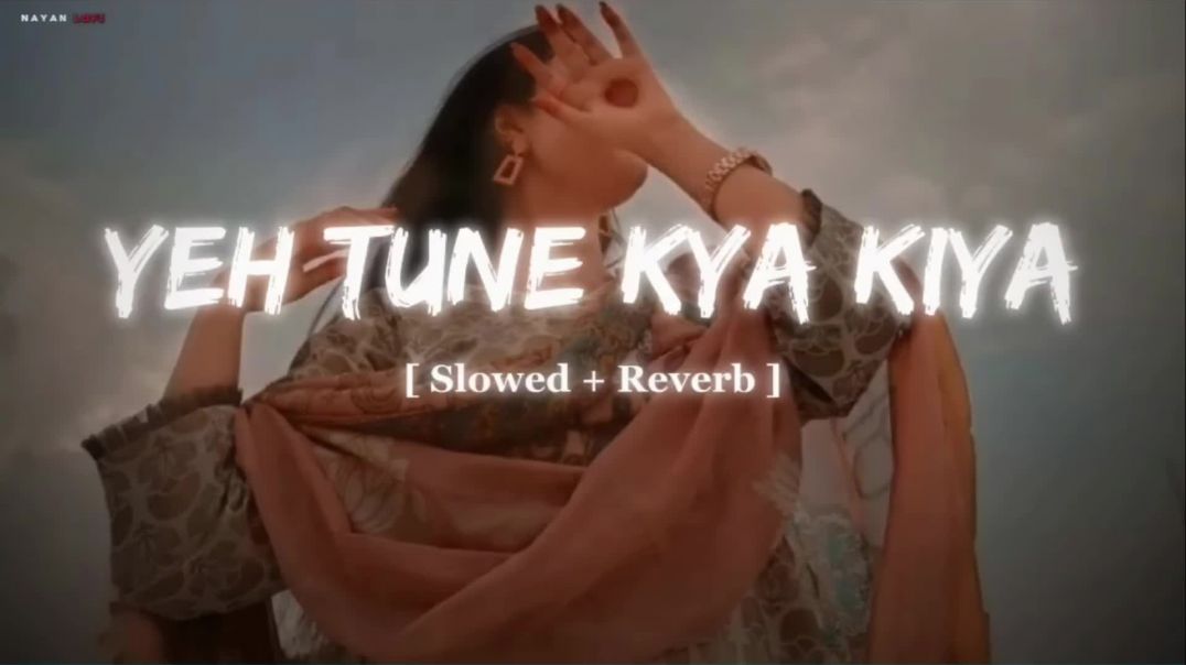 ⁣Yeh Tune Kya Kiya  Slowed Reverb  Lofi Song  Use Headphones 🎧 - Chandri Cat (1080p, h264)