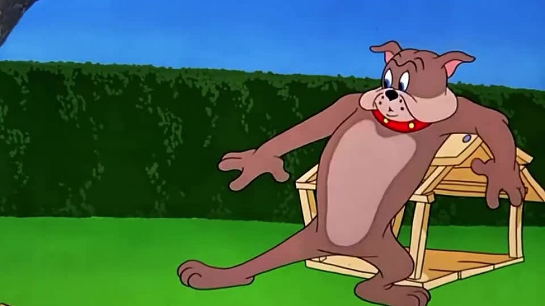 ⁣Tom and Jerry