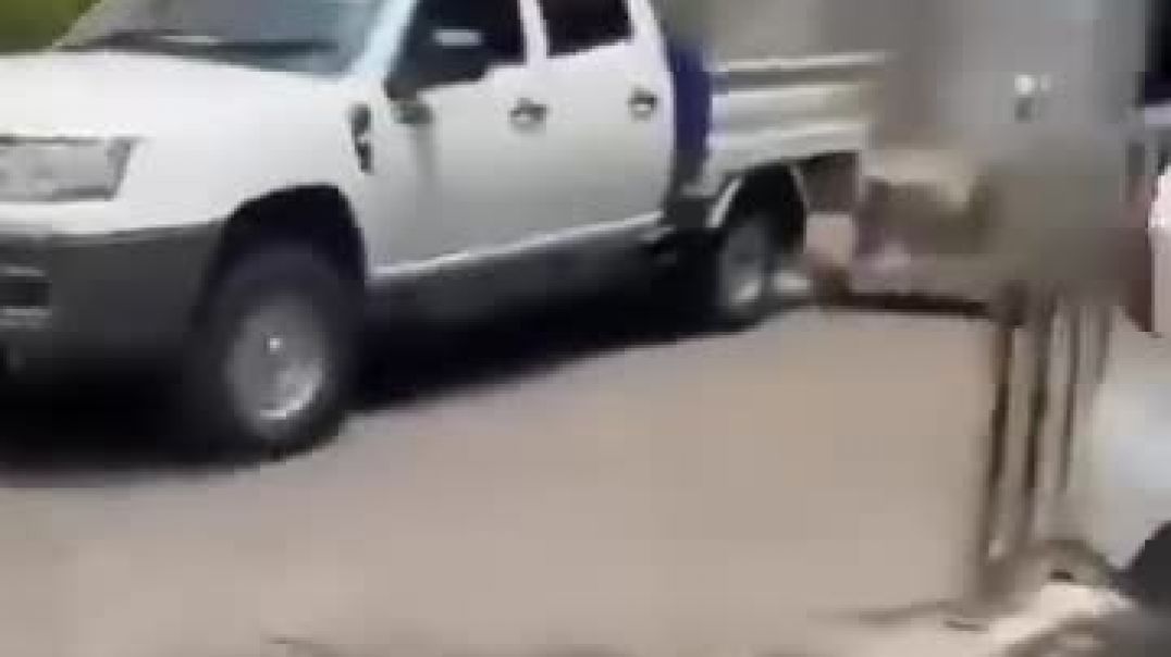 ⁣VID-20260423-WA0031