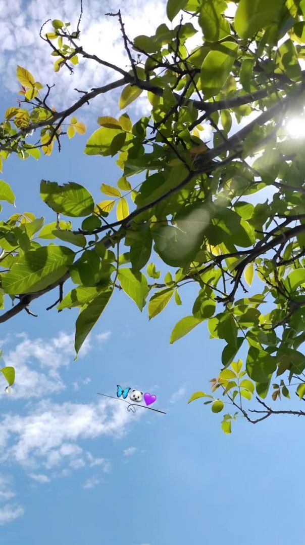 panjuu_editzzz_14050204_120928629