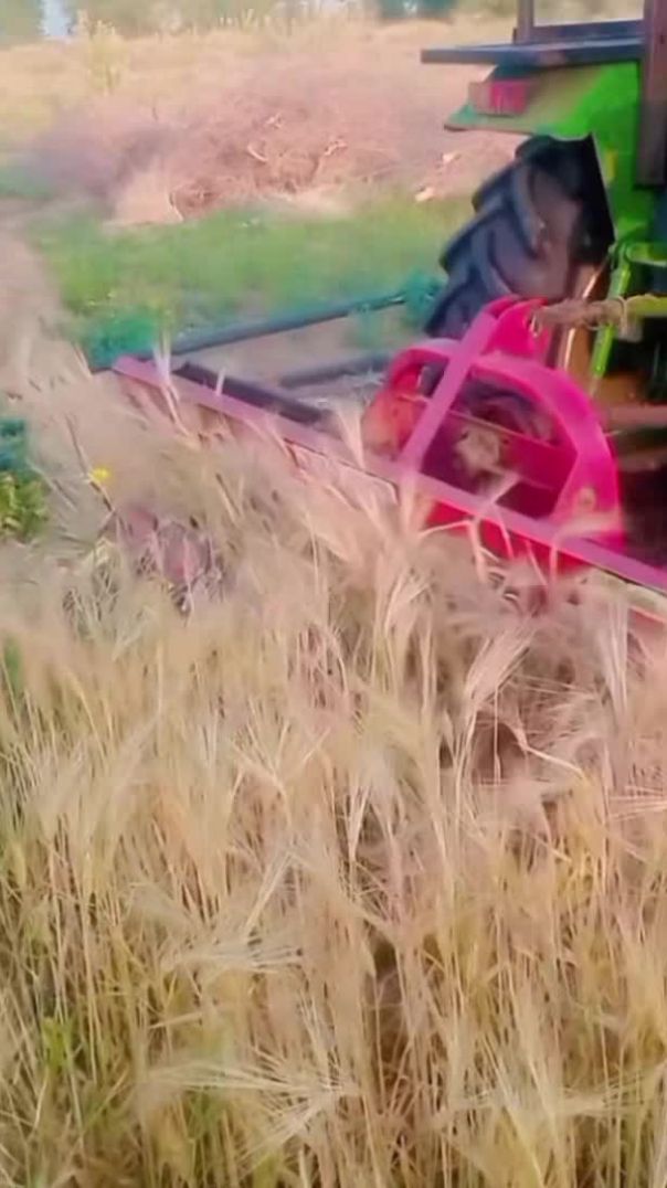 Farming(our should be so turebut faith in your hard