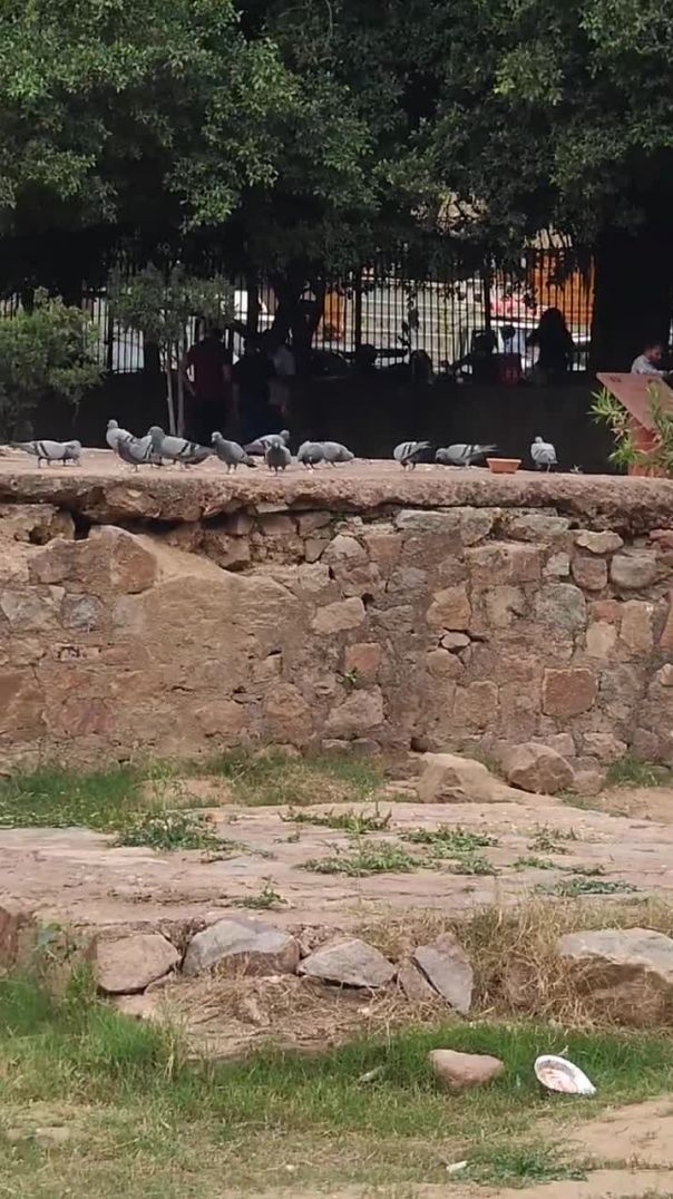 😊 #viralvideo #viralvideo #travel #lifeisbutadream #lifeisbutadream #nature #delhincr