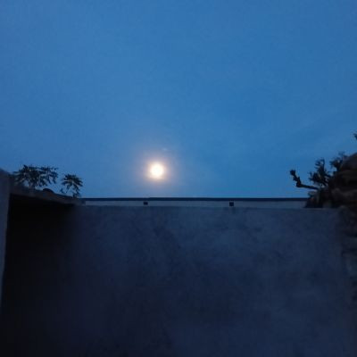 111359778548766671682 