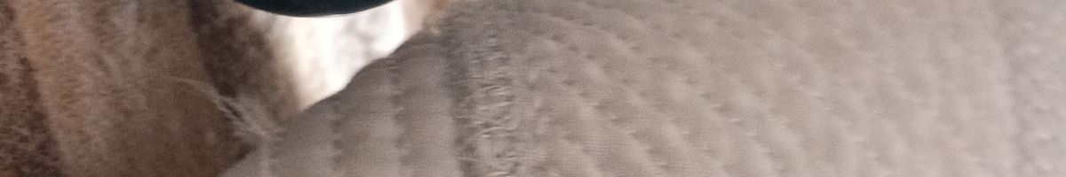 100531433274218311413 