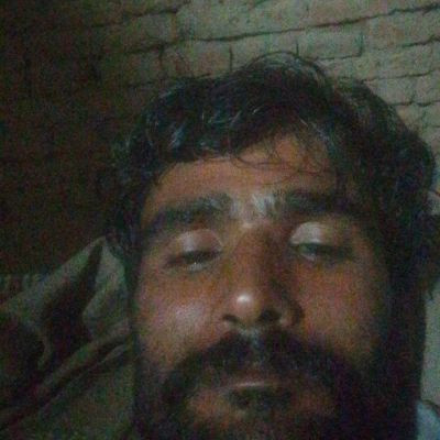 भार्गव 