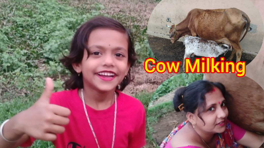 ⁣Family cow milking process video 🐄🍼#cowmilking#villagelife#dailyvlog