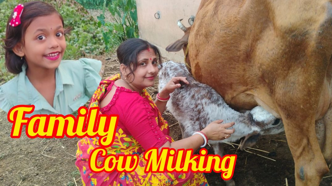 Real Village Life l Fresh Cow Milling #familyvlog#cowmilkingvideo#rajuda