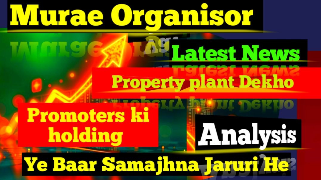 ⁣Murae Organisor Financial Analysis