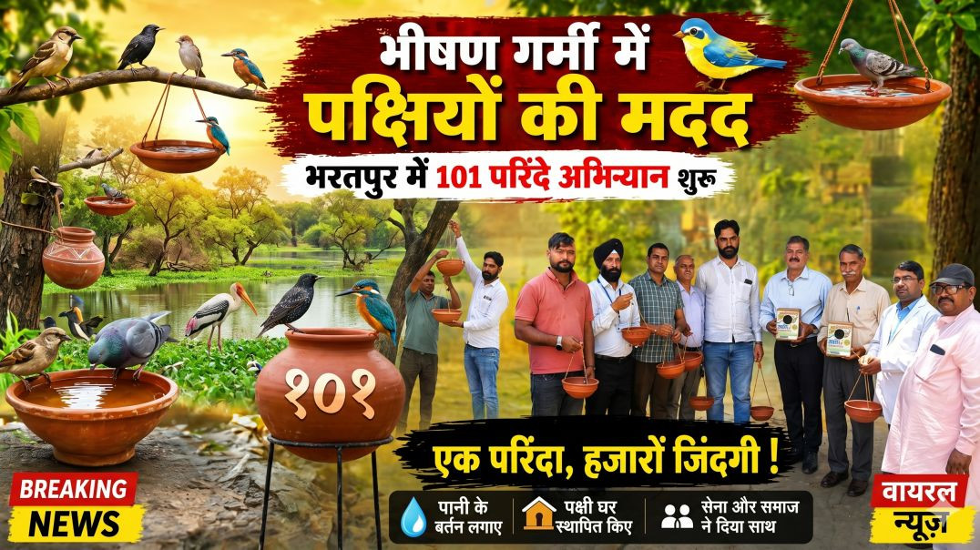 ⁣🐦 भरतपुर में अनोखी पहल! 101 परिंदे अभियान से बचेंगी पक्षियों की जान | Viral News
