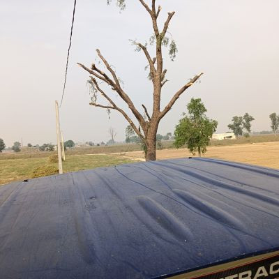 BENIWAL BENIWAL