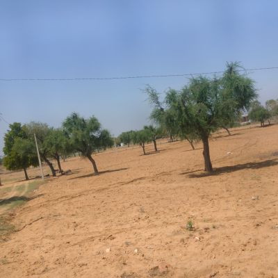 Avnichoudhary