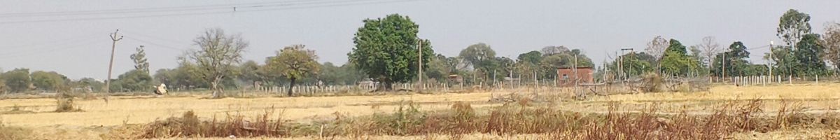 agskei
