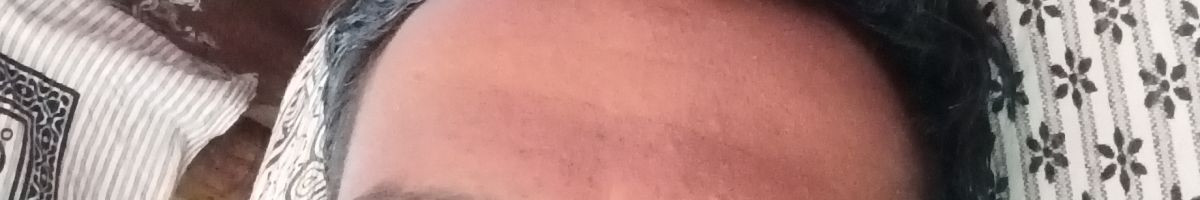 9817137511 9817137511