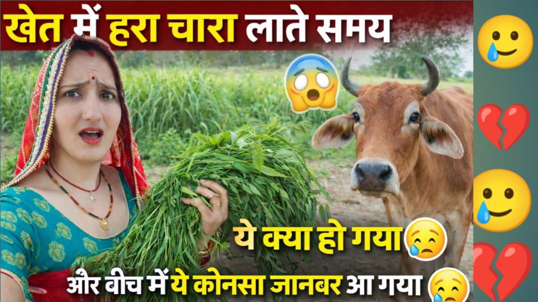 ⁣खेत में हरा चारा लाते समय रास्ते में ये क्या हो गया 🥲
