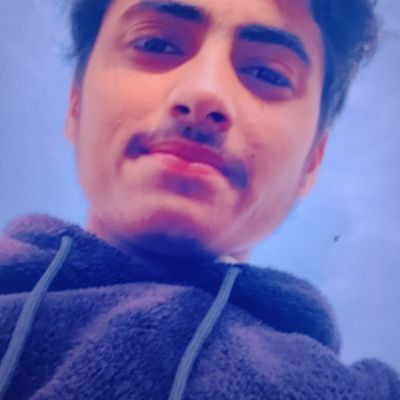 Harman_vloger