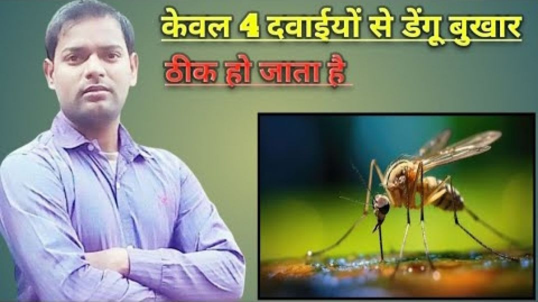 ⁣केवल 4 दवाईयों का प्रयोग करने से डेंगू बुखार ठीक हो जाता है (720P