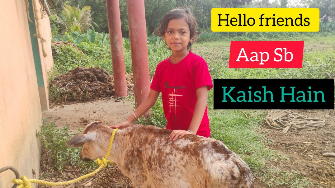 ⁣Hello friends Aap Sb Kise Hain ❤️#familyvlog#indianfamily#viral
