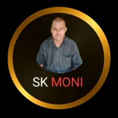 SKMONI3110